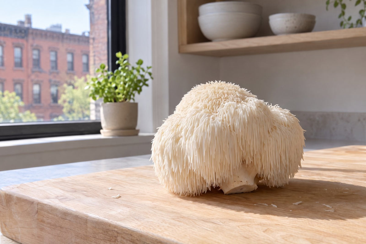 Lion's mane benefits: what three human studies found