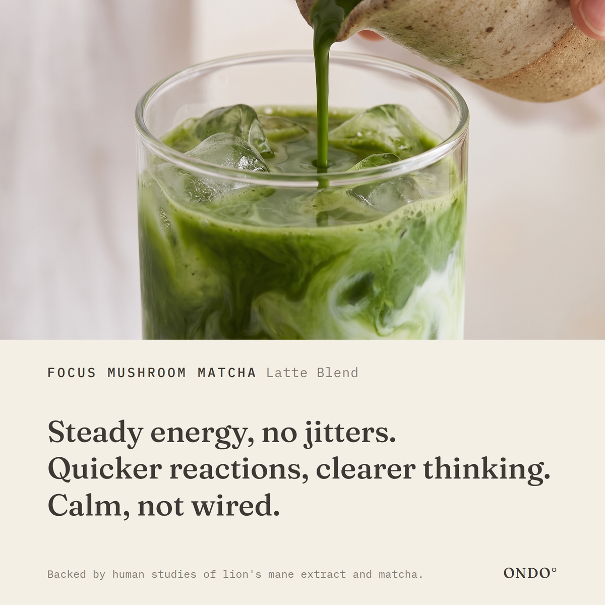 Focus Mushroom Matcha (Latte Blend) benefits: Steady energy, no jitters. Quicker reactions, clearer thinking. Calm, not wired.