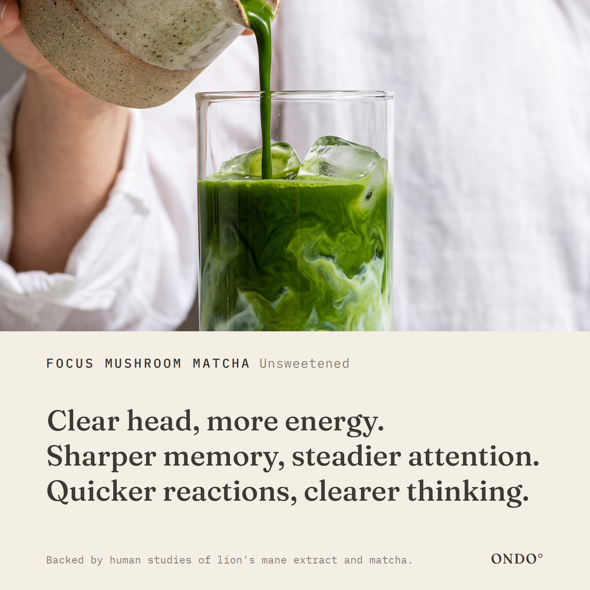 Focus Mushroom Matcha (Unsweetened) benefits: Clear head, more energy. Sharper memory, steadier attention. Quicker reactions, clearer thinking.