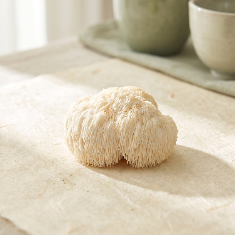 Lion's Mane Extract