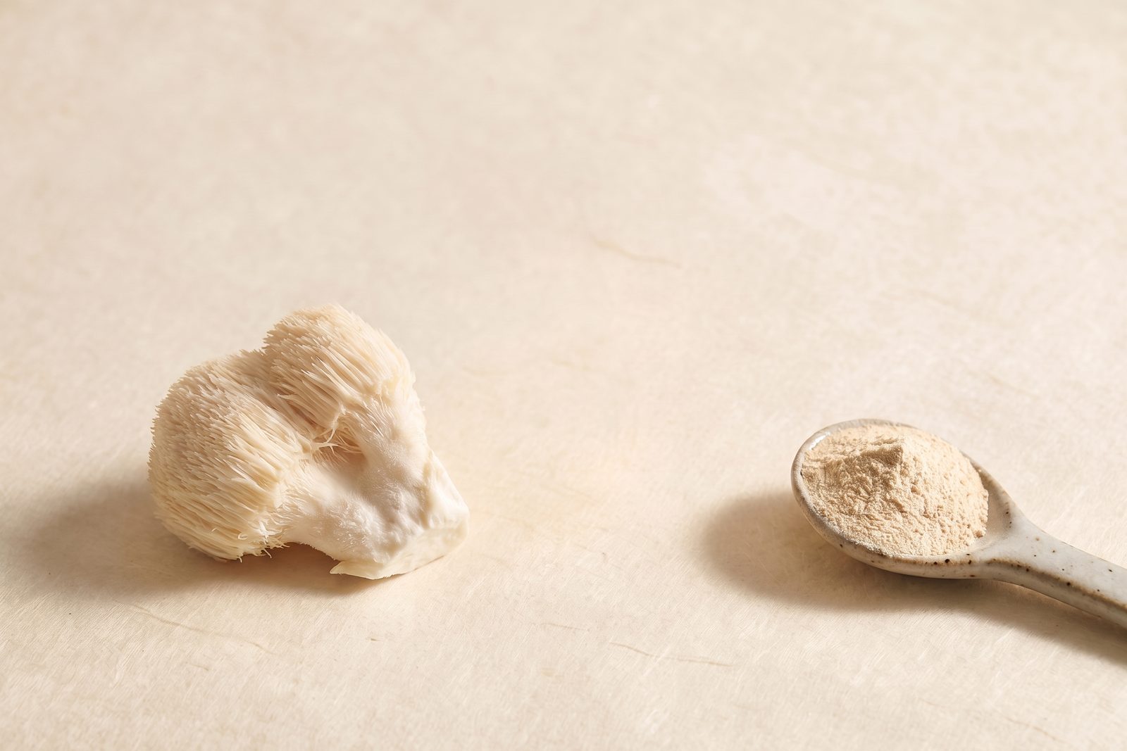 A pile of fresh lion's mane pieces beside one small spoon of extract powder